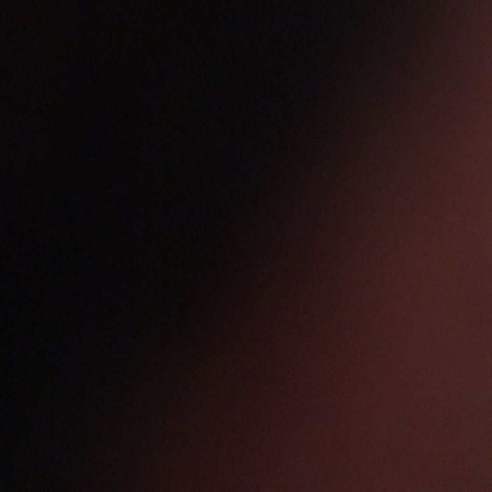 Meet your Posher, Belle